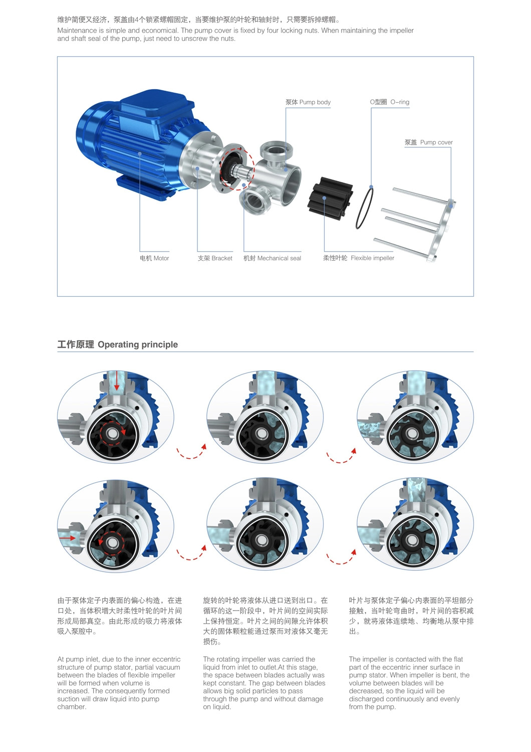 Stainless Steel Sanitary Flexible Impeller Pump