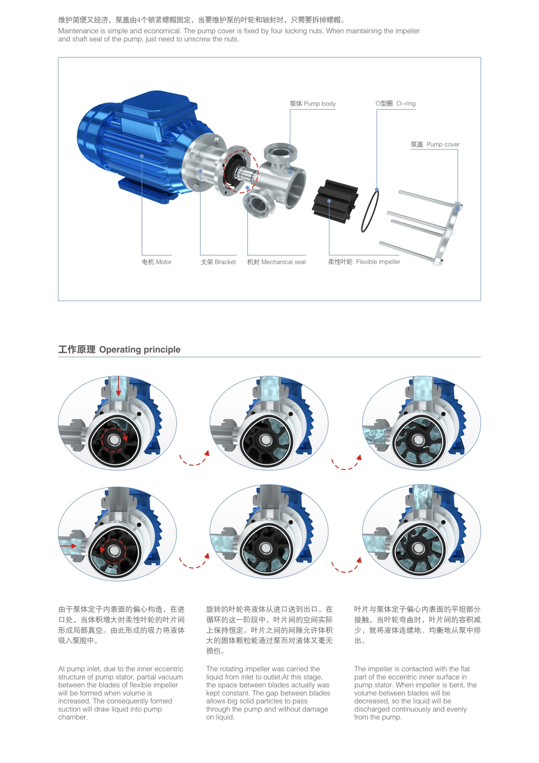 Donjoy Stainless Steel Flexible Impeller Pump Manufacturer in China